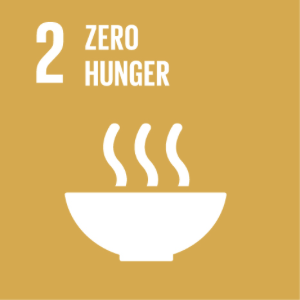 UN SDG 2 — Zero Hunger